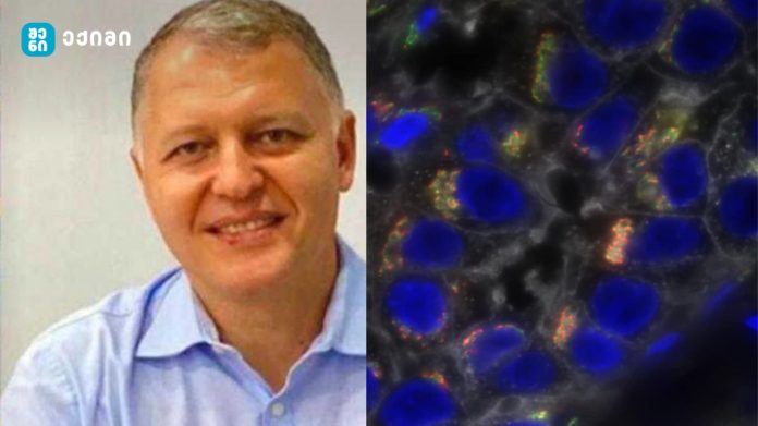 kibos mkurnaloba-revolicuri gargveva- კიბოს მკურნალობაში რევოლუციური გარღვევა – ახალი იმედი!