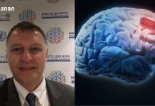 ტვინის დაცვა ასაკთან ერთად იცვლება — ახალი კვლევა ცვლის ჩვენს წარმოდგენას მიკროპლასტიკები ადამიანის ტვინში – ახალი კვლევის შემაშფოთებელი მიგნებები!