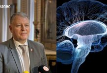 ტვინი და მიკროელემენტები: რატომ არ არის საკმარისი მხოლოდ კალორიები? ტვინის დაბერება არ არის განაჩენი – მეცნიერები გვთავაზობენ რეალურ გზებს გონების სიჯანსაღის შესანარჩუნებლად!