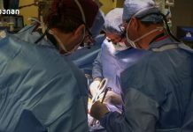 Georgia’s Nurse Shortage: A Healthcare Crisis Georgia’s Nurse Shortage: A Healthcare Crisis