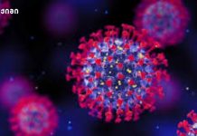 რადიკალურად განსხვავდება ჩვეულებრივი „გახანგრძლივებული COVID“-ისგან – შესაძლოა გამოიწვიოს სახიფათო ფილტვის ნაწიბუროვანი ცვლილებები — თუნდაც მსუბუქი ან სრულიად უსიმპტომო ინფექციის შემდეგ COVID-19-ის NB.1.8.1 ახალი ვარიანტი