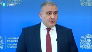 მიხეილ სარჯველაძე: დიუშენისა და ცისტური ფიბროზის სამკურნალო მედიკამენტების გაცემა უახლოეს პერიოდში დაიწყება
