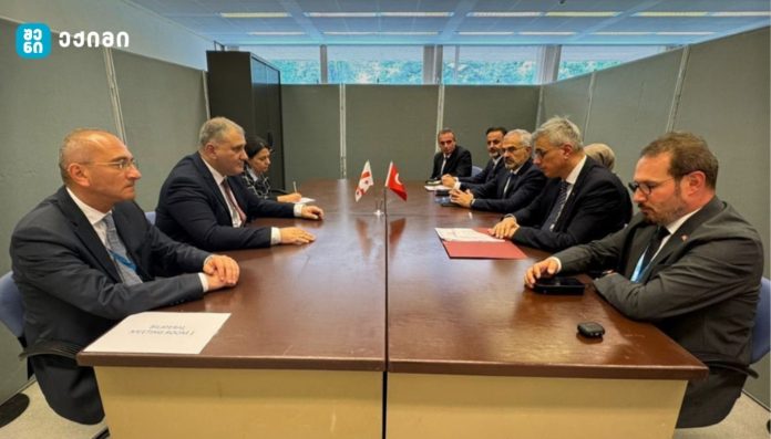 მიხეილ სარჯველაძე, ჟენევაში, თურქეთის ჯანდაცვის მინისტრ ქემალ მემიშოღლუს შეხვდა