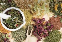 თუ ხშირად ახველებთ, ან ცივდებით – შეიძლება თუ არა ხალხური საშუალებების გამოყენება? რატომ არ უნდა მივიღო ანტიბიოტიკი თვითნებურად? ხუთი რჩევა- ხველას უმკურნალებთ