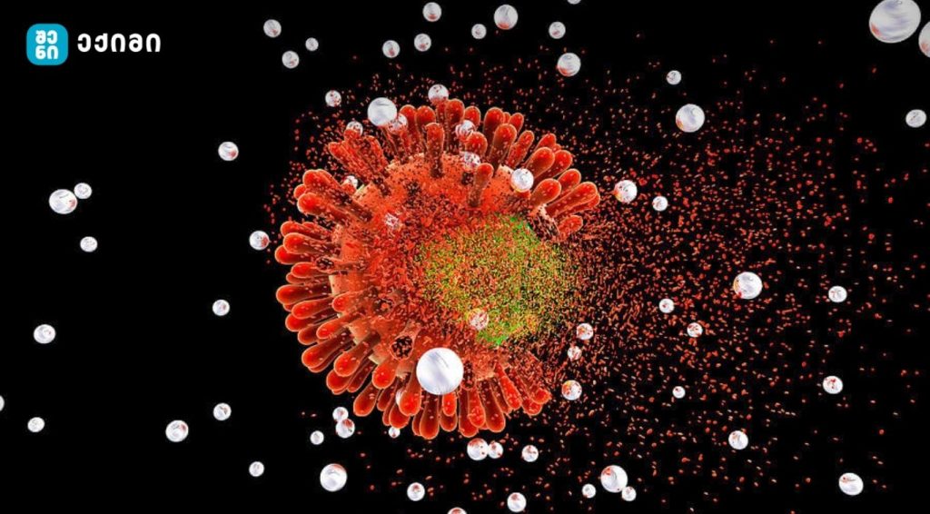 საშარდე გზების ინფექციები დაკავშირებულია სამზარეულოს არასათანადო ჰიგიენასთან — ახალი კვლევა | sheniekimi.ge | შენი ექიმი აშშ-ში აივ-ინფექცია