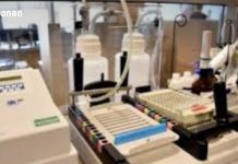 კვლევა – ესპანელმა ონკოლოგებმა პანკრეასის კიბოს განკურნების მეთოდს მიაგნეს ბაქტერიებისა და ვირუსების ეროვნული საცავი