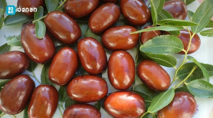 უნაბი