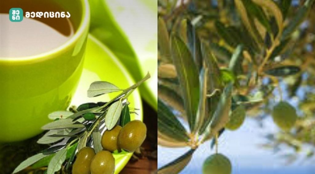 ზეთისხილის ფოთლები