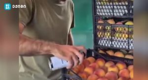 „ცუდი ხუმრობა გამოვიდა და ხალხმა ეს ვერ მიიღო ხუმრობად. გასაგებიც არის“ -ატმის შეღებვის კადრების ავტორის პირველი კომენტარი