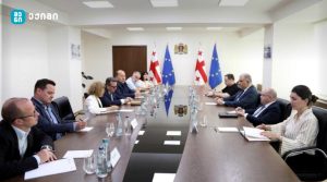 შეხვედრაზე ის ცვლილებები განიხილეს, რომელიც უმცროს ექიმებს სერტიფიცირების საშუალებას აძლევს და ამავდროულად, ხელს უწყობს დეფიციტური პროფესიების შევსებას