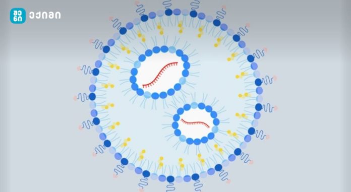 mRNA ტექნოლოგიამ შესაძლოა HIV სამუდამოდ აღმოფხვრას - როგორ მუშაობს ტექნოლოგია? - ხშირად დასმული კითხვები