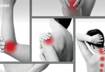 შეიძლება ეს გახდეს მომავლის გზა ტკივილის გარეშე ცხოვრებისკენ? – ბუნებრივად ასტიმულირებს სახსრის ხრტილის ხელახალ ზრდას — ისე, რომ აღარ არის საჭირო იმპლანტები ან ქირურგიული ჩარევა სახსრები