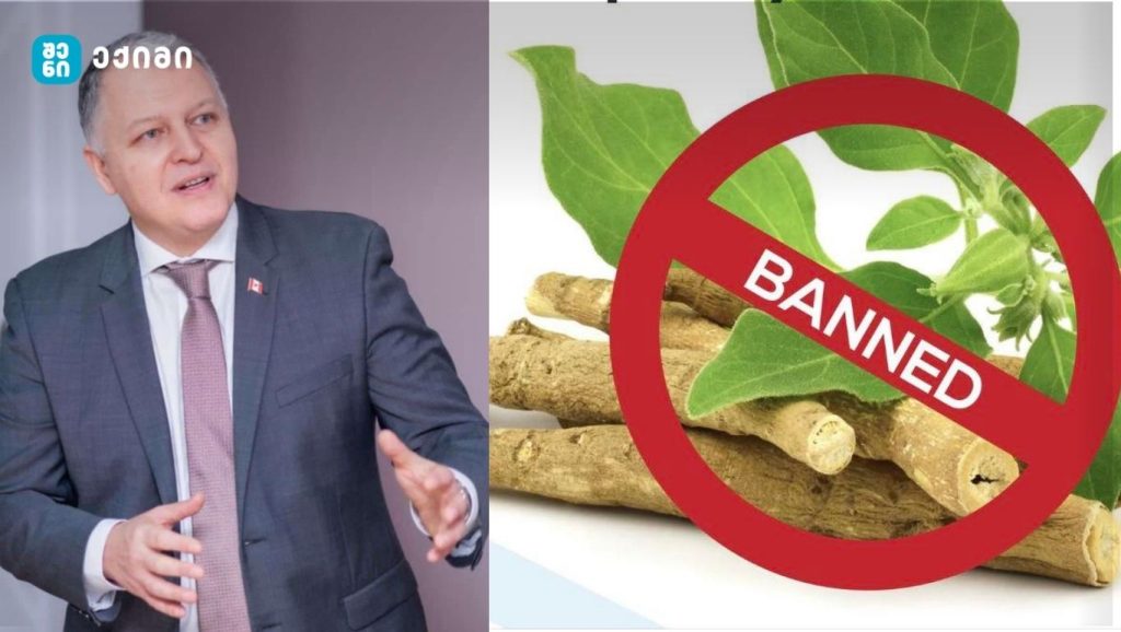 აშვაგანდა — რატომ არის სახიფათო და რატომ უნდა აიკრძალოს საქართველოში - გიორგი ფხაკაძე შემაშფოთებელ ინფორმაციას ავრცელებს
