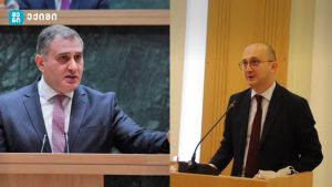 „პირადად ჩემი თხოვნით, ის ამ პერიოდის განმავლობაში, დარჩა ცენტრის ხელმძღვანელის პოზიციაზე და საბედნიეროდ, მან წარმატებით შეძლო ამ პროცესის გაძღოლა“-მიხეილ სარჯველაძე