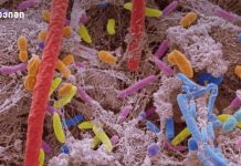 ახალი კვლევა – დღეში ერთი ჭიქა სასმელიც კი პირის ღრუს კიბოს რისკს 50%-ით ზრდის