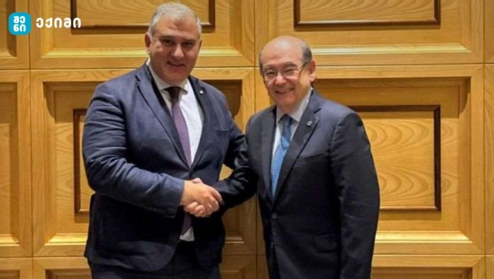 საქართველოს უნივერსიტეტების სამედიცინო ფაკულტეტების კურსდამთავრებულებს საშუალება აქვთ, განათლება განაგრძონ და დასაქმდნენ მსოფლიოს ნებისმიერ ქვეყანაში.