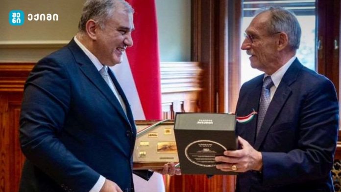 განსაკუთრებული ყურადღება გამახვილდა ჯანდაცვის სისტემების განვითარების, სოციალური დაცვისა და სამედიცინო განათლების სფეროში გამოცდილების გაზიარებაზე