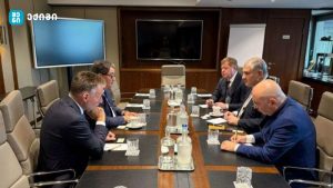 შეხვედრაზე, ექიმების პროფესიული გადამზადების პროგრამები განიხილეს