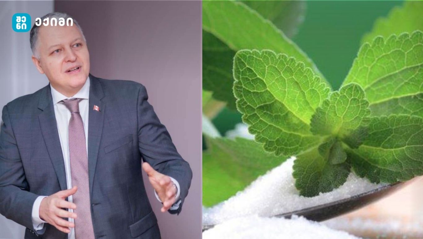 სტევია — ტკბილი ალტერნატივა თუ დამალული რისკი?