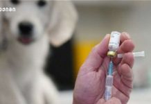 წალკაში კარანტინი გამოცხადდა სურსათის ეროვნული სააგენტო მარტვილში მომხდარ ცოფის შემთხვევასთან დაკავშირებით დამატებით ინფორმაციას ავრცელებს