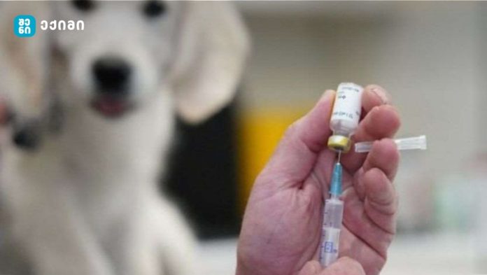 სურსათის ეროვნული სააგენტო მარტვილში მომხდარ ცოფის შემთხვევასთან დაკავშირებით დამატებით ინფორმაციას ავრცელებს