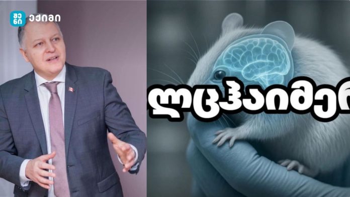 ეს არა მხოლოდ სამეცნიერო მიღწევაა — ეს ნეირომეცნიერების ახალი ეპოქის დასაწყისია - გიორგი ფხაკაძე მეცნიერების ისტორიული მიღწევის შესახებ