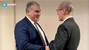 საუბარი, ასევე, შეეხო, ჯანმრთელობის მსოფლიო ორგანიზაციასთან თანამშრომლობასა და ერთობლივ პროექტებს
