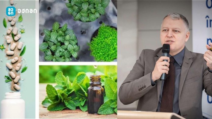 AYUSH — ინდოეთის ტრადიციული მედიცინის სახელმწიფო სისტემა და რეგულაციები