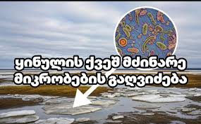 kinulis qvesh mikrobebis gagvidzeba ყინულის ქვეშ მძინარე მიკრობების გაღვიძება — მეცნიერების გაფრთხილება ახალი გლობალური საფრთხის შესახებ