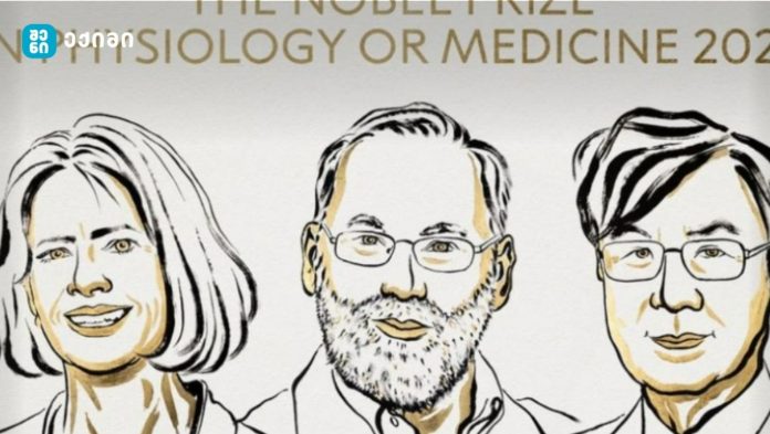 ნობელის პრემია ფიზიოლოგიასა და მედიცინაში იმუნური სისტემის რეგულაციის ერთ-ერთი მექანიზმის მკვლევრებს მიენიჭათ