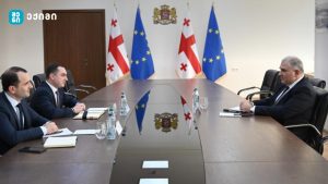 განხილულ იქნა აფხაზეთიდან დევნილი მოსახლეობის ჯანმრთელობის დაცვისა და სოციალური უზრუნველყოფის საკითხები. განსაკუთრებული ყურადღება გამახვილდა სამედიცინო სერვისების ხელმისაწვდომობის კიდევ უფრო გაზრდაზე