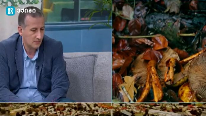 „ბოლო კვირაში, სოკოთი მოწამვლის ეპიდაფეთქებაა“ - ინტოქსიკაციის ნიშნები და რჩევები - რას უნდა ვუფრთხილდეთ