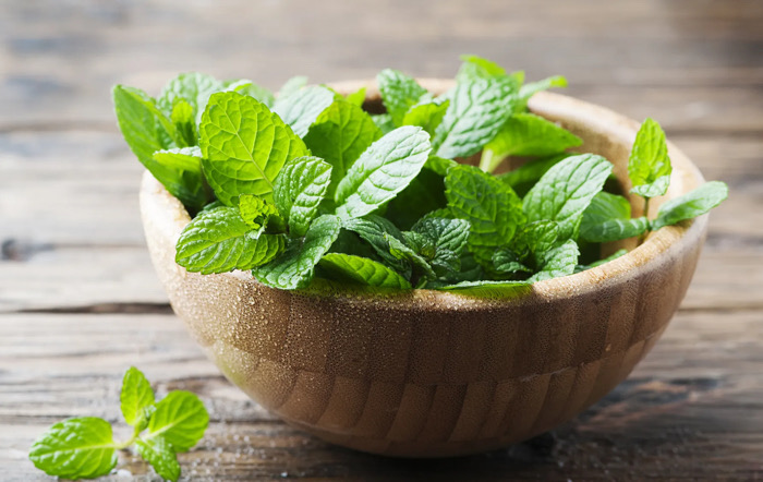 ๐ต แ แแแแ แแแแแแแงแแแแ แแแขแแ แกแฌแแ แแ? โ แแแขแแ โ แแฃแแแแ แแแ แกแแจแฃแแแแแ แฏแแแแ แแแแแแแก, แกแแฏแแแกแแฆแแกแ แแ แจแแแแแกแแแแก โ แฏแแแกแแฆแ แชแฎแแแ แแแแกแ แแ แแแแแแก แแแแแกแแแ แแกแแ แซแแแแแ แแแแจแแแแแแแแแ แแแแแแ แฃแแแแแ แแแขแแแก | sheniekimi.ge | แจแแแ แแฅแแแ ๐ต แ แแแแ แแแแแแแงแแแแ แแแขแแ แกแฌแแ แแ? โ แแแขแแ โ แแฃแแแแ แแแ แกแแจแฃแแแแแ แฏแแแแ แแแแแแแก, แกแแฏแแแกแแฆแแกแ แแ แจแแแแแกแแแแก โ แฏแแแกแแฆแ แชแฎแแแ แแแแกแ แแ แแแแแแก แแแแแกแแแ แแกแแ แซแแแแแ แแแแจแแแแแแแแแ แแแแแแ แฃแแแแแ แแแขแแแก | sheniekimi.ge | แจแแแ แแฅแแแ