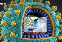 მამაკაცი ფრინველის გრიპის ისეთი შტამით დაინფიცირდა, რომელიც აქამდე ადამიანში არ დაფიქსირებულა მამაკაცი ფრინველის გრიპის ისეთი შტამით დაინფიცირდა, რომელიც აქამდე ადამიანში არ დაფიქსირებულა