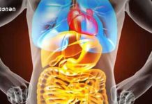 იცი, როგორ გიხმობს შენი სხეული, სანამ ავად გახდები? – შენი სხეული ყოველდღე გესაუბრება — მხოლოდ მოუსმინე იცი, როგორ გიხმობს შენი სხეული, სანამ ავად გახდები? - შენი სხეული ყოველდღე გესაუბრება — მხოლოდ მოუსმინე