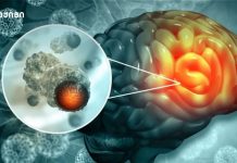 ახალმა აღმოჩენამ, შესაძლოა, „გახსნას“ ინფექციური დაავადებების და კიბოს მკურნალობის მომავალი ახალმა აღმოჩენამ, შესაძლოა, „გახსნას“ ინფექციური დაავადებების და კიბოს მკურნალობის მომავალი