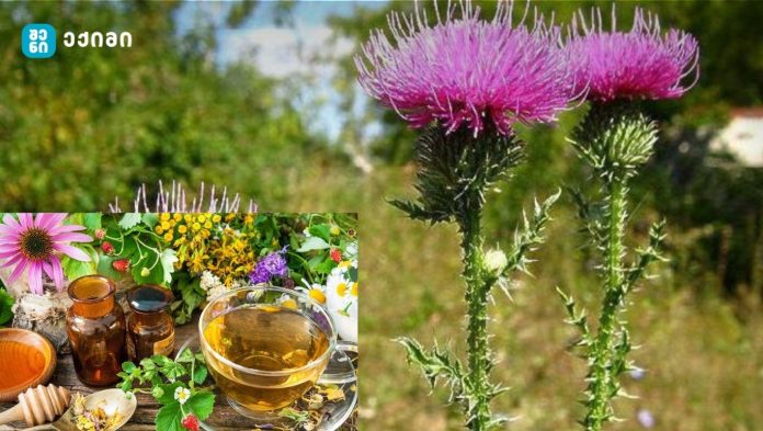 გაიგეთ რა არის კენჭოვანი დაავადების მიზეზები და როგორ უმკურნალოთ მას ხალხური მედიცინით