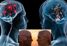 მამაკაცის ტვინი ქალების ტვინზე უფრო სწრაფად მცირდება ასაკთან ერთად მამაკაცის ტვინი ქალების ტვინზე უფრო სწრაფად მცირდება ასაკთან ერთად