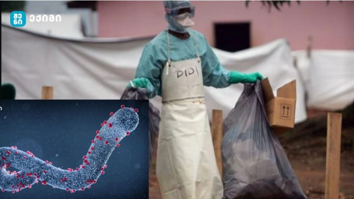 „იწვევს სისხლდენას, მაღალ სიცხესა და დიარეას“ - რა ვიცით „მარბურგის ვირუსის“ შესახებ, რომელიც ეთიოპიაში გავრცელდა