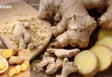 ის ეხმარება ტვინს, რომ აქტიურად იმუშაოს – მას შეუძლია მოერიოს ისეთ რთულ დაავადებებს, როგორებიცაა დემენცია და ალცჰეიმერი ის ეხმარება ტვინს, რომ აქტიურად იმუშაოს - მას შეუძლია მოერიოს ისეთ რთულ დაავადებებს, როგორებიცაა დემენცია და ალცჰეიმერი