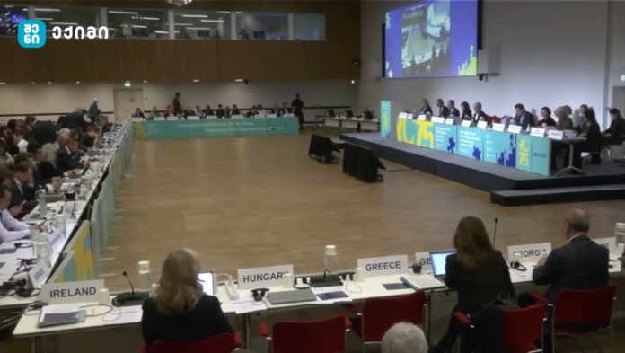 საქართველო ჯანმრთელობის მსოფლიო ორგანიზაციის აღმასრულებელი საბჭოს წევრი ქვეყნის კანდიდატად აირჩიეს