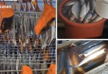 „კრიტიკული დარღვევები დაუყოვნებლად შეჩერებულია, ხოლო უმეტეს საწარმოში წესები დაცულია“-სურსათის ეროვნული სააგენტო თევზის საწარმოებს ამოწმებს კრიტიკული შეუსაბამობები გამოვლინდა – სურსათის ეროვნული სააგენტო თევზის საწარმოებს ამოწმებს