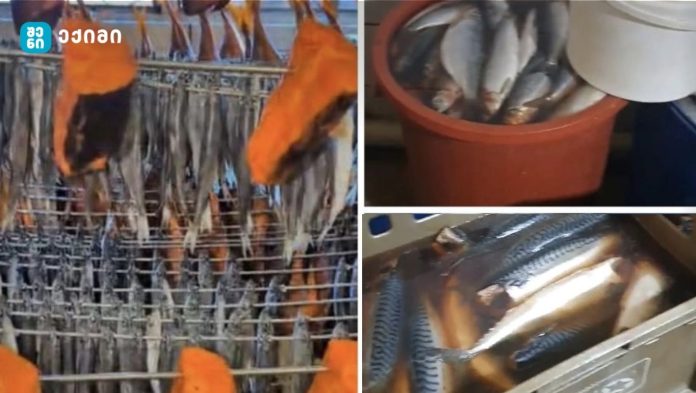 კრიტიკული შეუსაბამობები გამოვლინდა – სურსათის ეროვნული სააგენტო თევზის საწარმოებს ამოწმებს