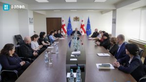 მინისტრი მიხეილ სარჯველაძე ტიპის 1 დიაბეტის მქონე ბავშვების მშობლებსა და ექიმებს შეხვდა – მშობლებმა დეტალური ინფორმაცია მიიღეს, აღნიშნული პრეპარატით მკურნალობის შესახებ