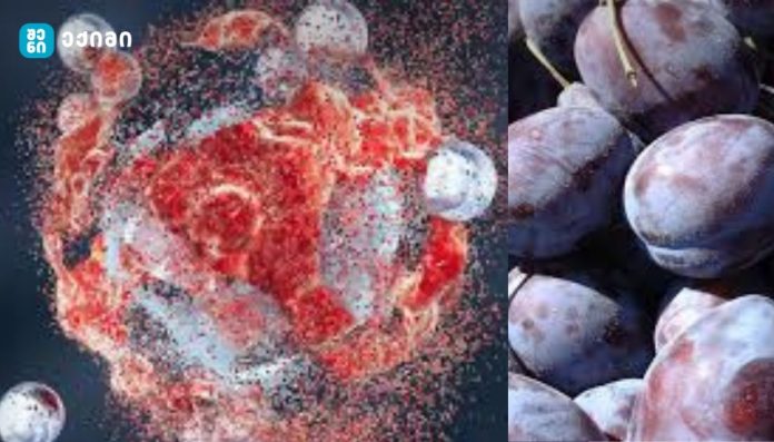 ქლიავი „ებრძვის კიბოს“ — მითი თუ რეალობა? - რას ამბობს მეცნიერება