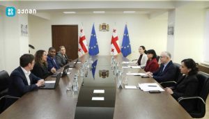 განხილული იყო ჯანმრთელობისა და სოციალური დაცვის სფეროში მიმდინარე და დაგეგმილი რეფორმები, დასაქმება და აქტიური შრომის ბაზრის პოლიტიკა, ფინანსური მდგრადობა, ასევე – სახელმწიფოს პრიორიტეტები, მოსახლეობის ჯანმრთელობის დაცვის მიმართულებით
