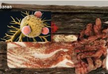 ჯანდაცვის მსოფლიო ორგანიზაციის მიერ ბეკონი ოფიციალურად შეტანილია პირველი ჯგუფის კიბოს გამომწვევ კანცეროგენად ჯანდაცვის მსოფლიო ორგანიზაციის მიერ ბეკონი ოფიციალურად შეტანილია პირველი ჯგუფის კიბოს გამომწვევ კანცეროგენად