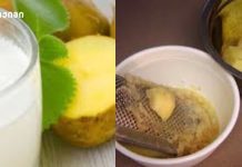 კარტოფილის სახის ნიღაბი. უმი და მოხარშული კარტოფილი თქვენს პრობლემებს მოაგვარებს! კარტოფილის სახის ნიღაბი. უმი და მოხარშული კარტოფილი თქვენს პრობლემებს მოაგვარებს!