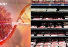 „ყველაზე მაღალი რისკის, კიბოს გამომწვევი პროდუქტებია” – მარი მალაზონია