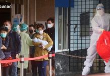 ორი ექთანი დაინფიცირდა ვირუსით – სასიკვდილო ვირუსის აფეთქება ინდოეთში – რა არის ნიპას ვირუსი ორი ექთანი დაინფიცირდა ვირუსით - სასიკვდილო ვირუსის აფეთქება ინდოეთში - რა არის ნიპას ვირუსი